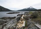 IMG 3154 : ushuaia