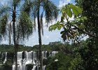 IMG 4236 : Iguazu, Iguazu Argentine