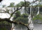 IMG 4251 : Iguazu, Iguazu Argentine