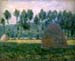 Monet javelles pres de giverny