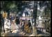 Renoir La grenouilliere
