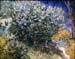 Van gogh_lilas