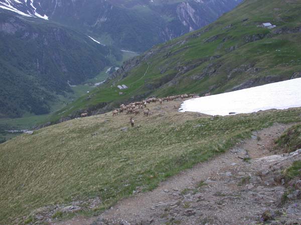 2004 06 13 mt pourri 043