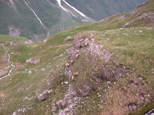 2004 06 13 mt pourri 061