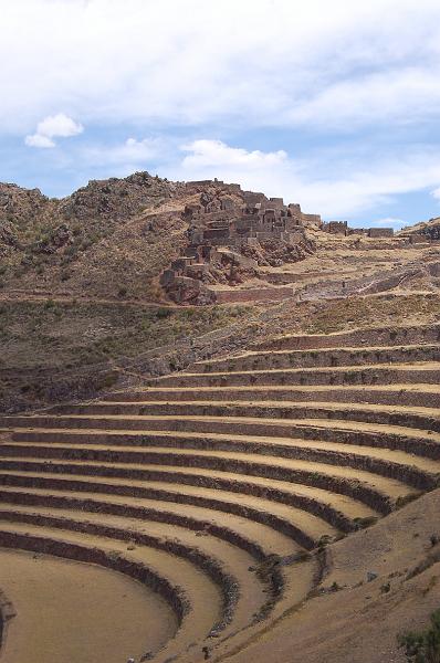 DSC_5001.JPG - Terrasses de Pisac