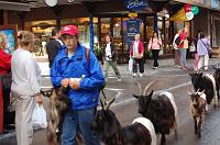 saasfee2007_137