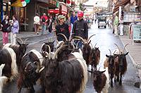 saasfee2007_142