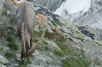 saasfee2007_330