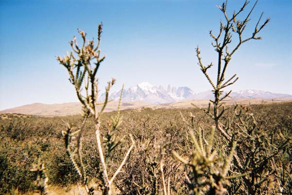 patagonie__035
